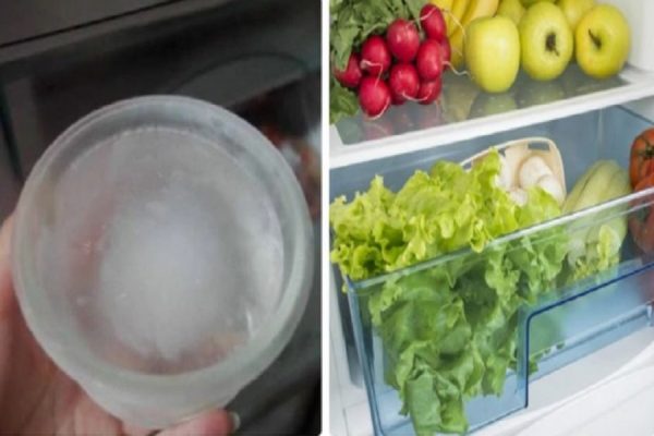 MẸO HỮU ÍCH: Mẹo tiết kiệm điện cho tủ lạnh chỉ với một bát nước