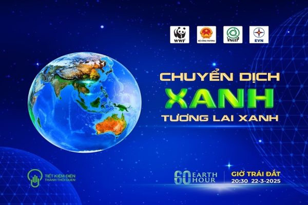 EVN và các đơn vị tích cực hưởng ứng chiến dịch giờ trái đất 2025