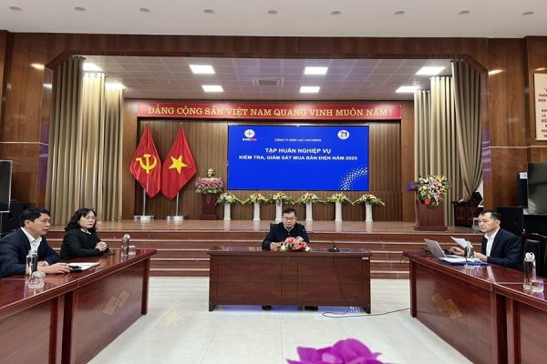 Công ty Điện lực Cao Bằng tập huấn trực tuyến về công tác kiểm tra, giám sát mua bán điện