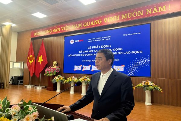 Công ty Điện lực Cao Bằng phát động ký cam kết an toàn lao động năm 2026